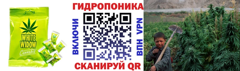Купить закладки  Печоры  Печенье с ТГК конопля 
