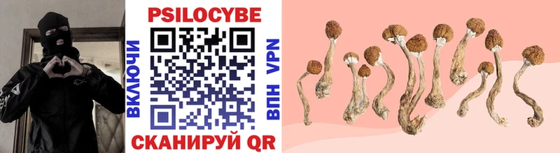 Купить  Печоры  Галлюциногенные грибы мухоморы 